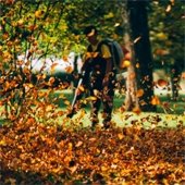 Person using a leaf blower and a pile of leaves