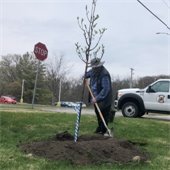 “2023oct01_treeplanting”