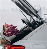 Valentines Day Driving Safety Reminder