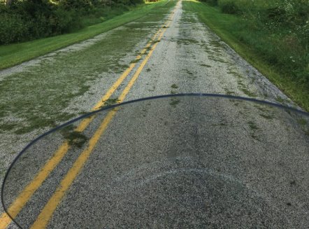 Grass clippings on the roadway