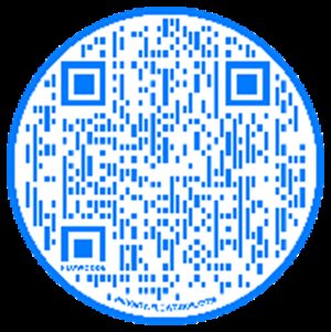 Winter Parking QR Code