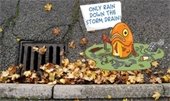 only rain down the storm drain graphic