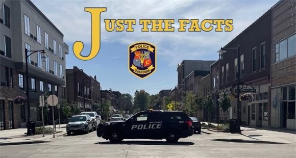 Just the Facts- Header