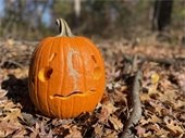 Photo of jack o lantern