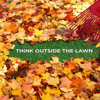 Leaves with rake and words think outside the lawn