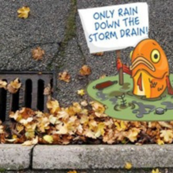 Fish next to catch basin filled with leaves holding sign that says 