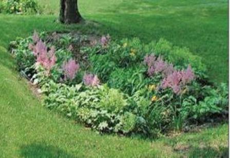 Rain Garden